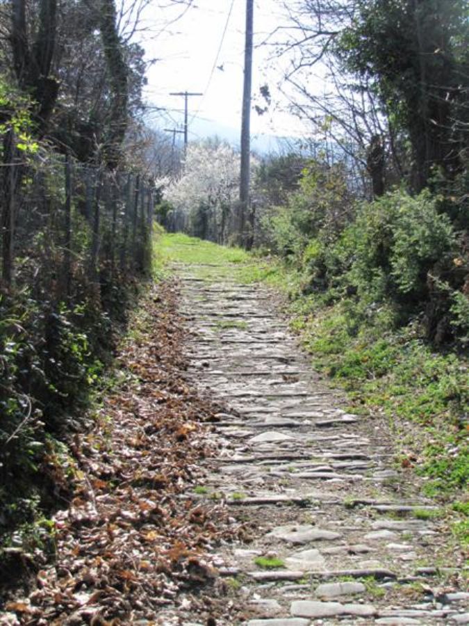 בשביל היורד מצנגרדה